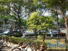 内环边 精装修 电梯中区 采光视野无遮挡