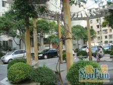 电梯房 精装修 高楼层 满五年 三开间朝南 采光视野好