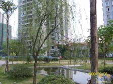 人和 富抱泉花园四房118万