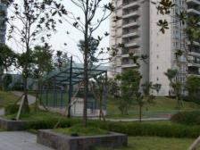 富抱泉花园 5室1厅 南