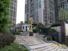 鸳鸯金城银樽端户 采光没有遮挡