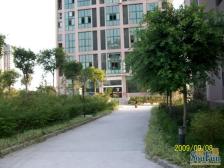 鸳鸯 金城银樽一房