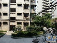 环线海峡路轻轨站,南滨路湿地公园旁