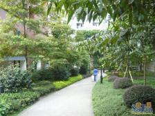 正规三房 带衣帽间 拎包入住 急售 住家安静