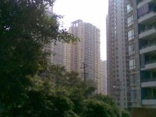 南坪东路 阳光汇三房104万