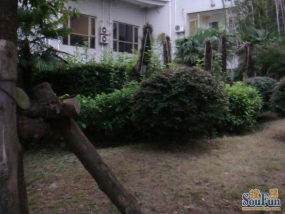 阳光名苑实景图