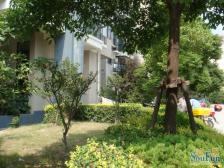 洋泾·龙威名邸·4室·3厅