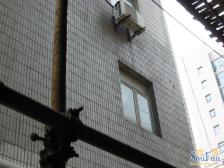 电梯中高区 采光视野无遮挡 可看滨江 D铁口4/7线边套全明