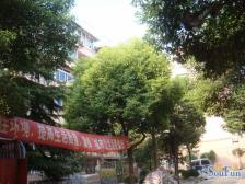 书香苑 1室1厅 南 北