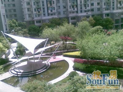 上海知音实景图