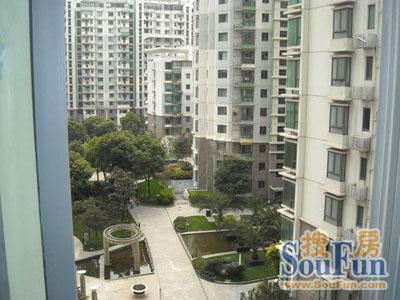 上海知音实景图