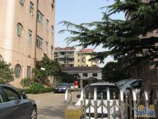 怡甸公寓 全南大三房 7万单价 看房随时 接受置换