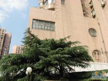 怡甸公寓 2室1厅 东