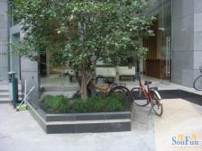 新出好房 业主诚心卖的 楼下即轨交口 03年商品房2T2户