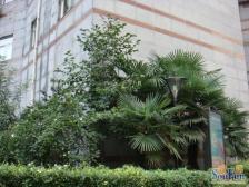 申金大厦公寓3室东朝向825.00万元/套出售