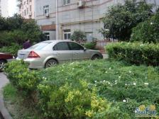 申金大厦公寓3室东朝向816.00万元/套出售