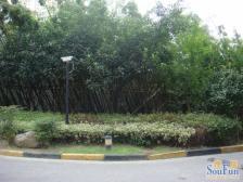 蔚蓝海岸天科苑3室2厅南