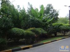 蔚蓝海岸天科苑 3室2厅 南 北