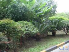 江湾·三湘花园·2室·2厅