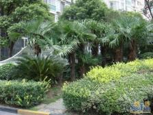 品质小区,小区中心位置,诚意出售,刚需好房