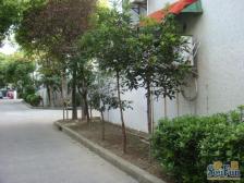 赤一小区1室南朝向200.00万元/套出售