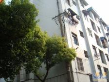 三楼,20万精装修,拎包入住,不靠马路小区中xin位置