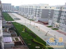 (电梯平顶复式精装带露台)业主置换别墅已看好