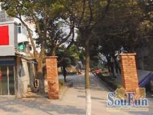 1楼带30平大院子原始是3房户型业主诚心卖