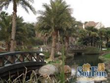 鼎邦丽池4室南朝向2850.00万元/套出售