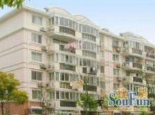 春花苑3室2厅南