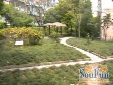 忍痛割爱,诚心出售,精装休,位置很好,价可再谈