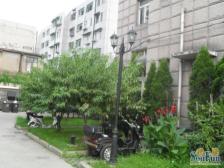 户型方正,实用面积大,绿化程度高,近地铁