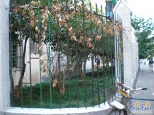 满五年带电梯+产权清晰+楼层好+视野开阔+配套设施齐全