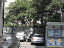 黄埔江畔,全明正气户型,楼层好,采光佳,近地铁