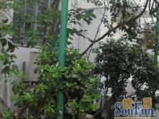 高楼层小两室+诚心出售+看房随时