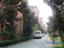 徐汇 桂莘小区 3室1厅