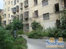 建西小区 3室1厅 南