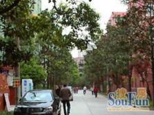 双南大两房,有钥匙随时看,诚意出售。