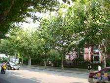 精装修 标准三房两卫 品质小区 固定充电车位 花园景观