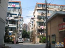 离一号线上海马戏城站20米,南北户型,带天井