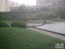 世纪大道地铁2469号线,精装修的电梯房