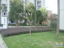 户型方正、中层楼,楼下就是公交车站