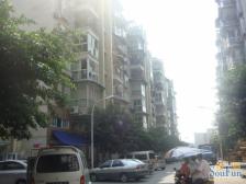 金易华苑B区 2室1厅 东