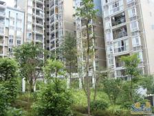 近地铁 商圈房 精装2室2厅 板式结构 业主诚心出售