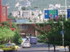 万凯新都会 1室1厅 东 东南