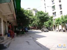 万凯新都会 1室1厅 东 东南