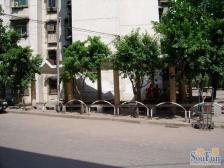 南坪商圈 精装小户型 楼下50米轻轨站 看南山视野好