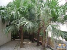 四公里 交通大学家属区三房