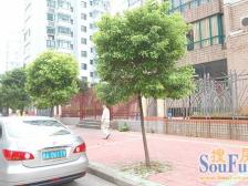 物业系统完善,常年有物业打理,绿化环境优美