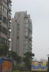 朝阳中路抚生路交界处,名爵府,朝阳小学,利民佳苑旁,